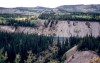 Thumbs/tn_050Domville Creek.jpg